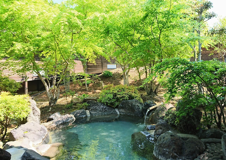 華柚の竹林水